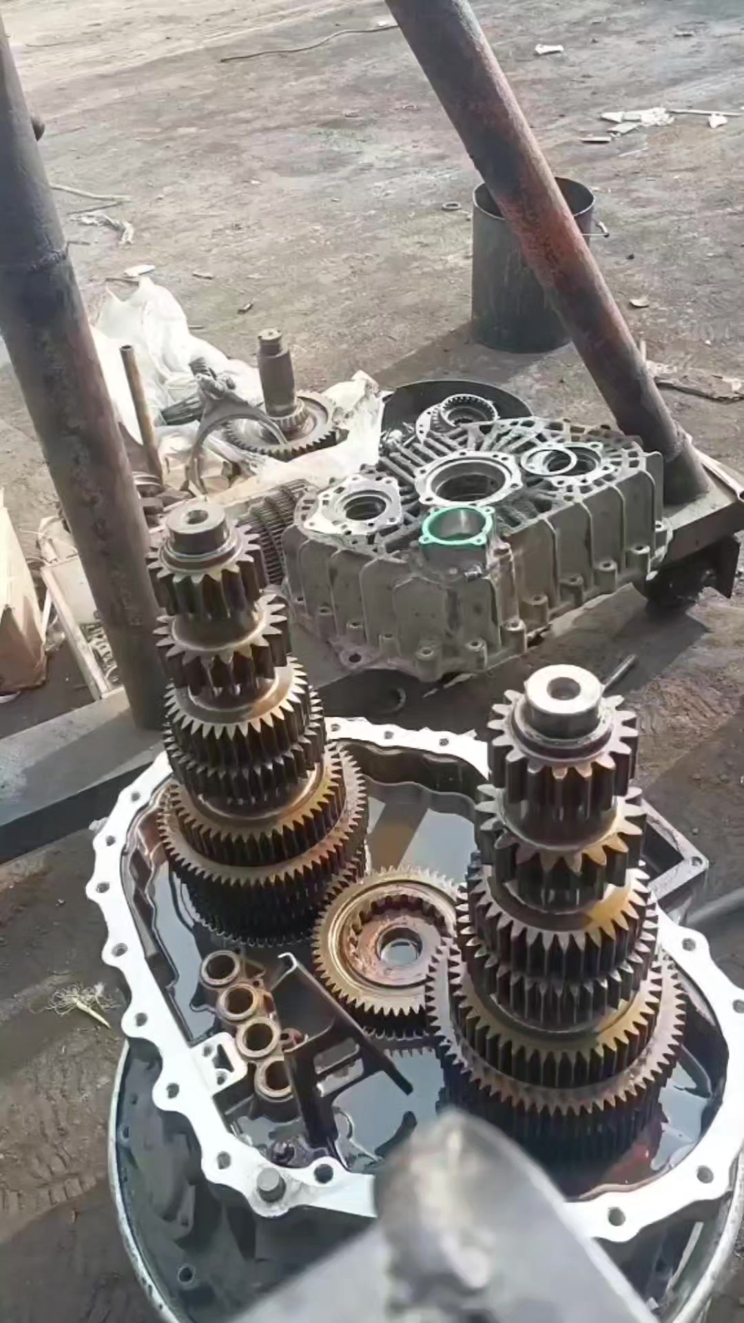 TikTok video